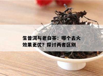 生普洱与老白茶：哪个去火效果更优？探讨两者区别