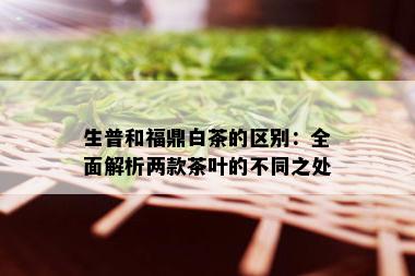 生普和福鼎白茶的区别：全面解析两款茶叶的不同之处