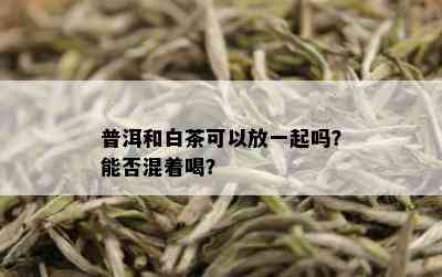 普洱和白茶可以放一起吗？能否混着喝？