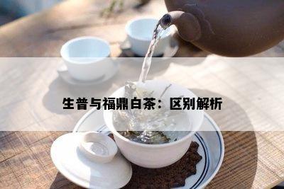 生普与福鼎白茶：区别解析