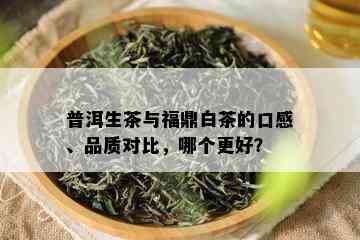 普洱生茶与福鼎白茶的口感、品质对比，哪个更好？