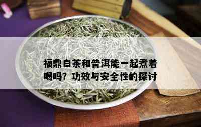 福鼎白茶和普洱能一起煮着喝吗？功效与安全性的探讨