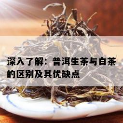 深入了解：普洱生茶与白茶的区别及其优缺点