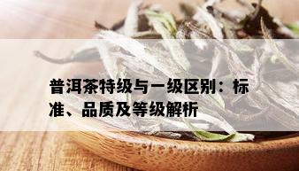 普洱茶特级与一级区别：标准、品质及等级解析