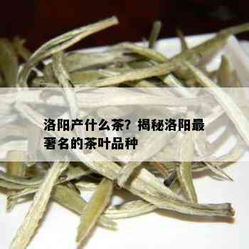 洛阳产什么茶？揭秘洛阳最著名的茶叶品种