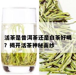 活茶是普洱茶还是白茶好喝？揭开活茶神秘面纱