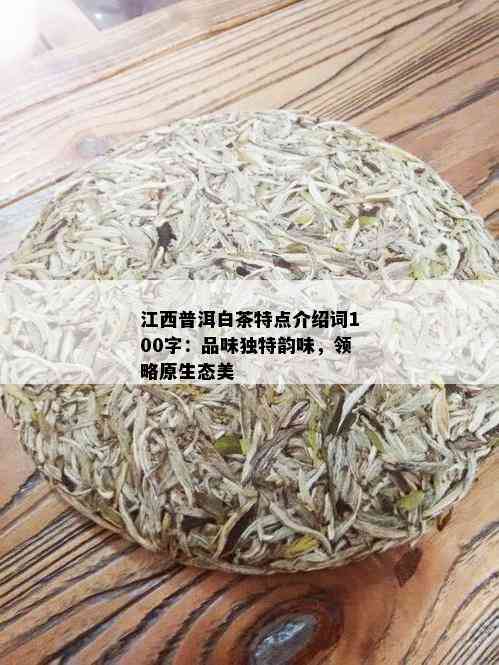 江西普洱白茶特点介绍词100字：品味独特韵味，领略原生态美