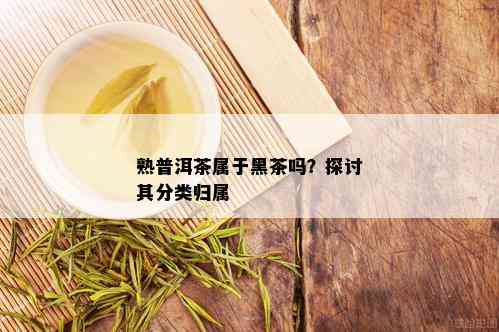 熟普洱茶属于黑茶吗？探讨其分类归属