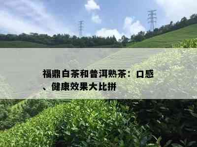 福鼎白茶和普洱熟茶：口感、健康效果大比拼