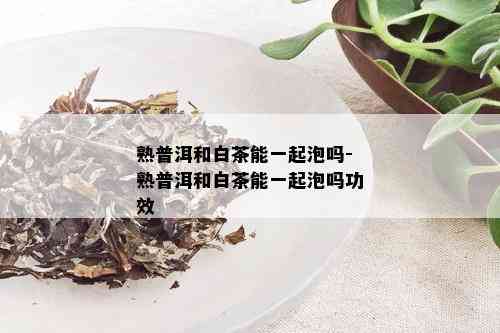 熟普洱和白茶能一起泡吗-熟普洱和白茶能一起泡吗功效