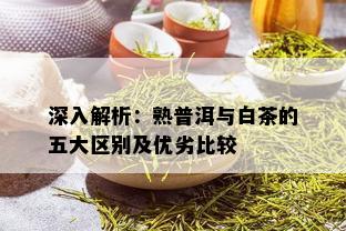 深入解析：熟普洱与白茶的五大区别及优劣比较