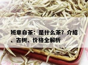 班章白茶：是什么茶？介绍、古树、价格全解析