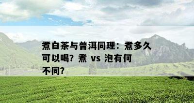 煮白茶与普洱同理：煮多久可以喝？煮 vs 泡有何不同？