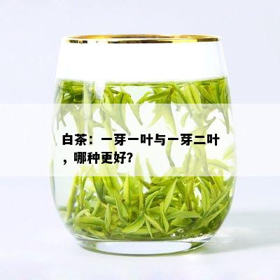 白茶：一芽一叶与一芽二叶，哪种更好？