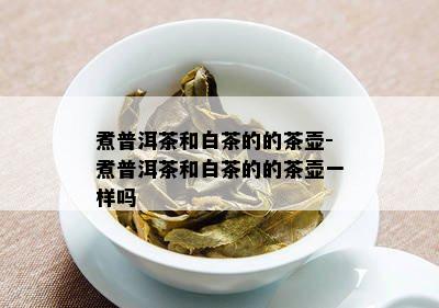 煮普洱茶和白茶的的茶壶-煮普洱茶和白茶的的茶壶一样吗