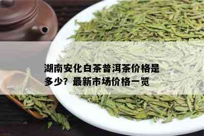 湖南安化白茶普洱茶价格是多少？最新市场价格一览