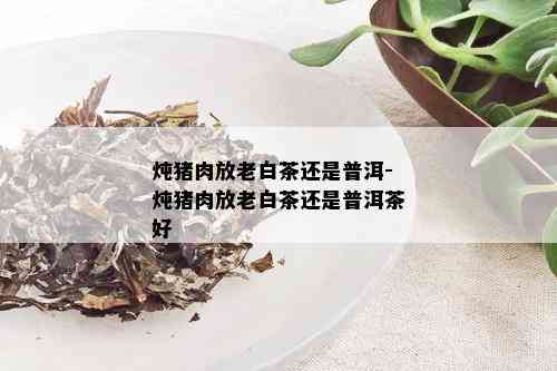 炖猪肉放老白茶还是普洱-炖猪肉放老白茶还是普洱茶好