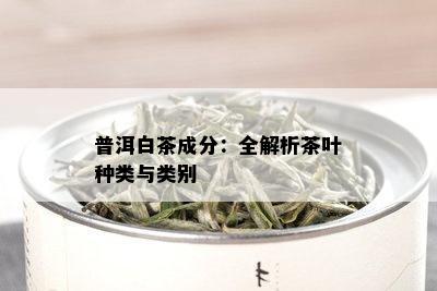 普洱白茶成分：全解析茶叶种类与类别