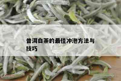 普洱白茶的更佳冲泡方法与技巧