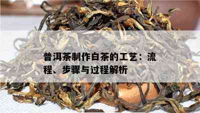 普洱茶制作白茶的工艺：流程、步骤与过程解析