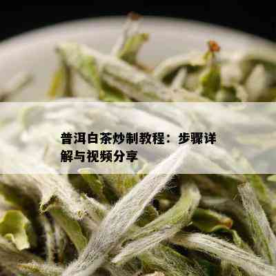 普洱白茶炒制教程：步骤详解与视频分享