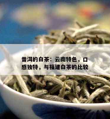 普洱的白茶：云南特色，口感独特，与福建白茶的比较