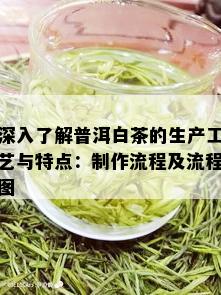 深入了解普洱白茶的生产工艺与特点：制作流程及流程图