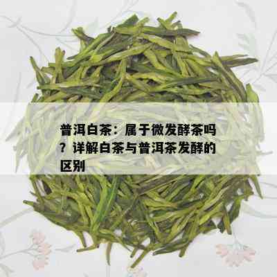 普洱白茶：属于微发酵茶吗？详解白茶与普洱茶发酵的区别