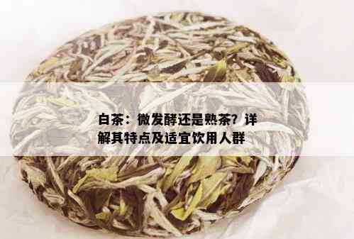 白茶：微发酵还是熟茶？详解其特点及适宜饮用人群