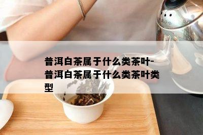 普洱白茶属于什么类茶叶-普洱白茶属于什么类茶叶类型