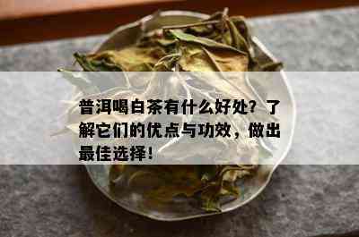 普洱喝白茶有什么好处？了解它们的优点与功效，做出更佳选择！