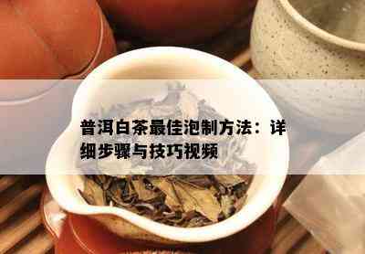 普洱白茶更佳泡制方法：详细步骤与技巧视频