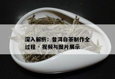 深入解析：普洱白茶制作全过程 - 视频与图片展示