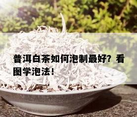 普洱白茶如何泡制更好？看图学泡法！