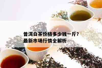 普洱白茶价格多少钱一斤？最新市场行情全解析