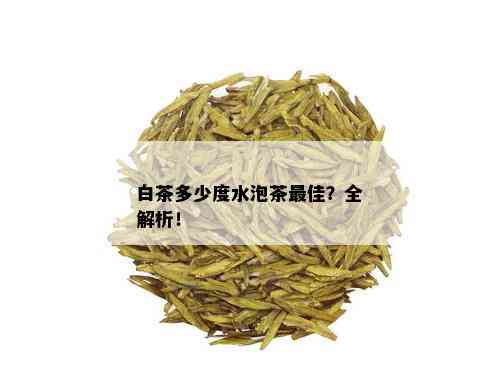 白茶多少度水泡茶更佳？全解析！