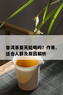 普洱茶夏天能喝吗？作用、适合人群及原因解析