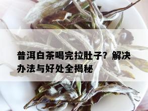 普洱白茶喝完拉肚子？解决办法与好处全揭秘