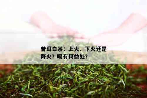 普洱白茶：上火、下火还是降火？喝有何益处？