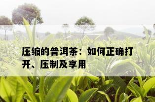 压缩的普洱茶：如何正确打开、压制及享用