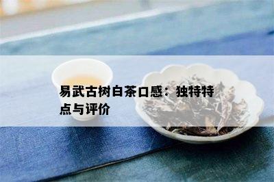 易武古树白茶口感：独特特点与评价