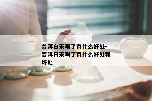 普洱白茶喝了有什么好处-普洱白茶喝了有什么好处和坏处