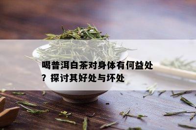 喝普洱白茶对身体有何益处？探讨其好处与坏处