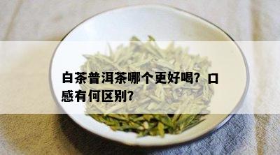 白茶普洱茶哪个更好喝？口感有何区别？