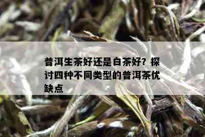 普洱生茶好还是白茶好？探讨四种不同类型的普洱茶优缺点