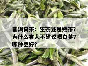 普洱白茶：生茶还是熟茶？为什么有人不建议喝白茶？哪种更好？