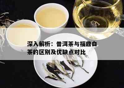 深入解析：普洱茶与福鼎白茶的区别及优缺点对比