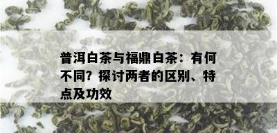 普洱白茶与福鼎白茶：有何不同？探讨两者的区别、特点及功效