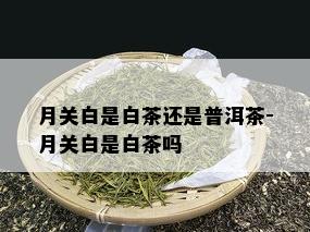 月关白是白茶还是普洱茶-月关白是白茶吗