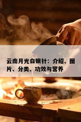 云南月光白银针：介绍、图片、分类、功效与营养